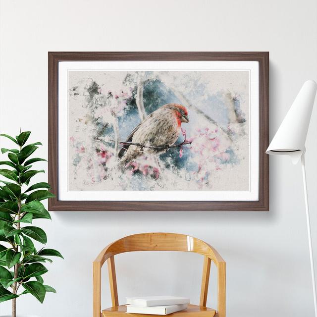 A House Finch Bird Watercolour - Picture Frame Graphic Art East Urban Home Frame Option: Walnut, Size: 27cm H x 36cm W x 2cm D on Productcaster.