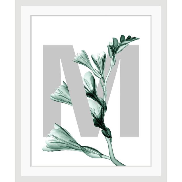 'Letter M' Framed Graphic Art Ebern Designs on Productcaster.