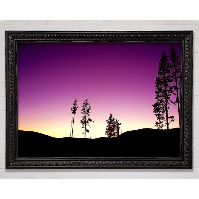 Purple Evening Framed Print Bright Star Size: 59.7cm H x 84.1cm W on Productcaster.