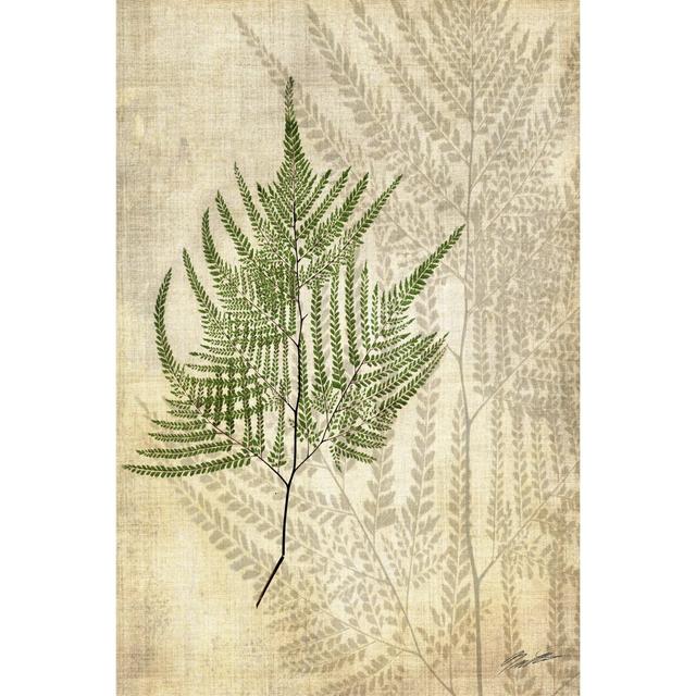 British Ferns V by John Butler - Wrapped Canvas Painting Print Blue Elephant Size: 76cm H x 51cm W on Productcaster.