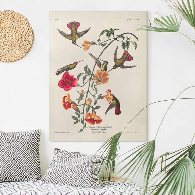 Mango Hummingbird - Wrapped Canvas Painting 17 Stories Size: 100cm H x 75cm W on Productcaster.