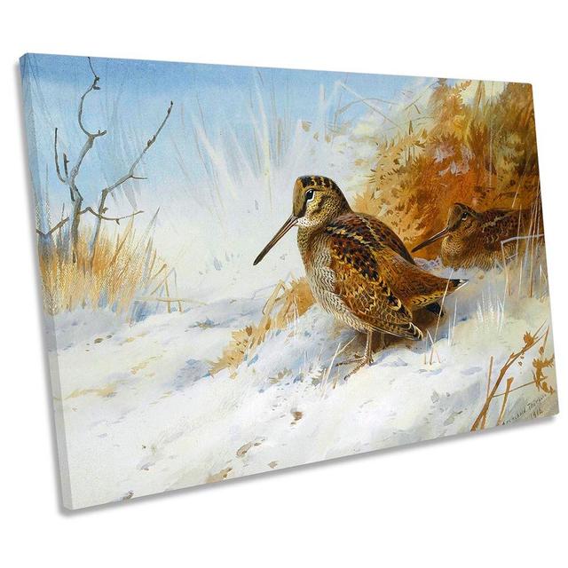 Archibald Thorburn Winter Woodcock CANVAS WALL ART Print Canvas Geeks Size: 91.4cm H x 137.2cm W x 4cm D on Productcaster.