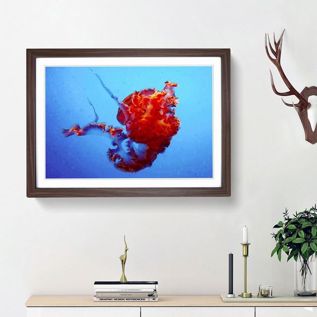 Beauty of the Jellyfish in Abstract - Picture Frame Graphic Art Print East Urban Home Frame Option: Walnut Framed, Size: 48cm H x 65cm W x 2cm D on Productcaster.