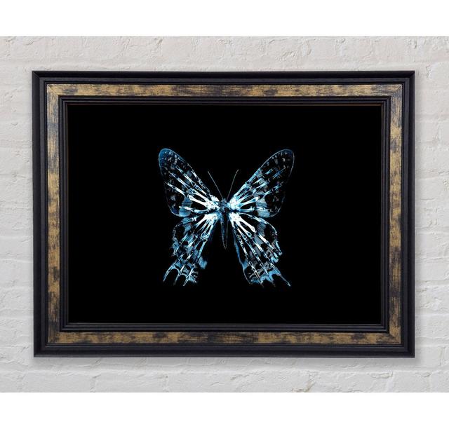 Butterfly X Ray - Single Picture Frame Art Prints Rosalind Wheeler Size: 100cm H x 141.4cm W x 8cm D on Productcaster.