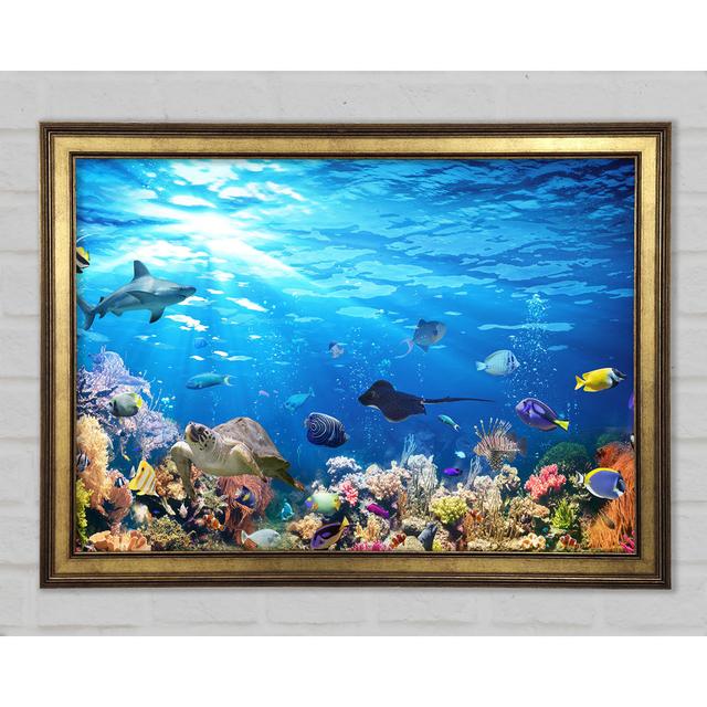 Creatures In The Reef Framed Print Highland Dunes Size: 59.1cm H x 84.1cm W 1.5cm D on Productcaster.