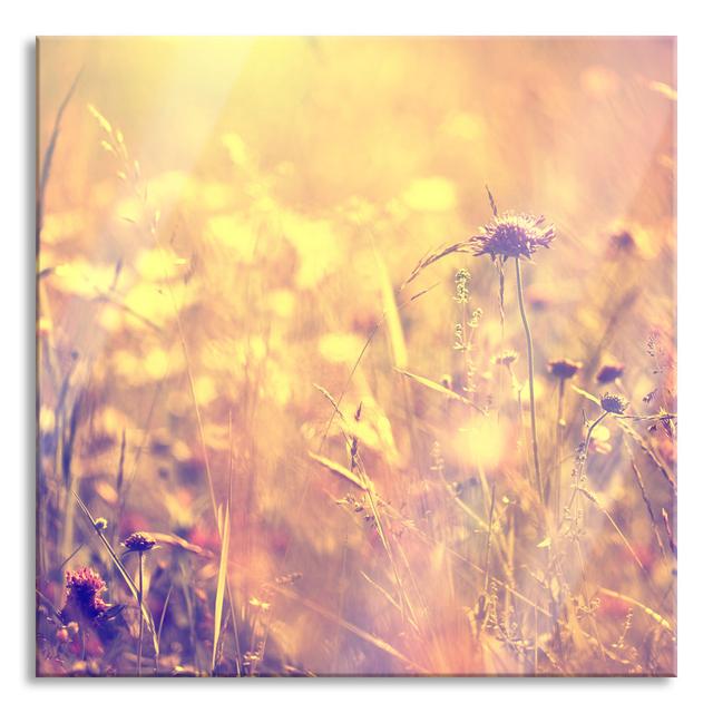 Colourful Grass And Natural Plants - No Frame Print on Glass August Grove Size: 80cm H x 80cm W x 0.4cm D on Productcaster.