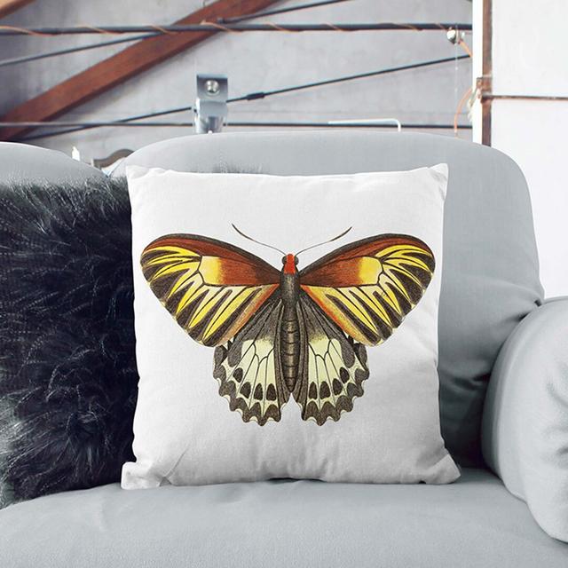 Brown Butterfly by George Shaw Cushion with Filling East Urban Home Size: 40cm H x 40cm W x 15cm D, Backing Colour: White on Productcaster.