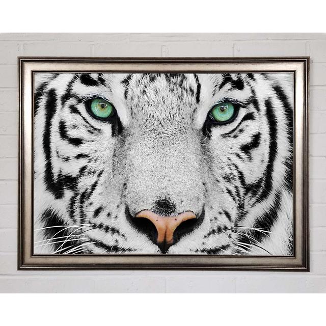 Green Eyed White Tiger Framed Print Brayden Studio Size: 42cm H x 59.7cm W on Productcaster.