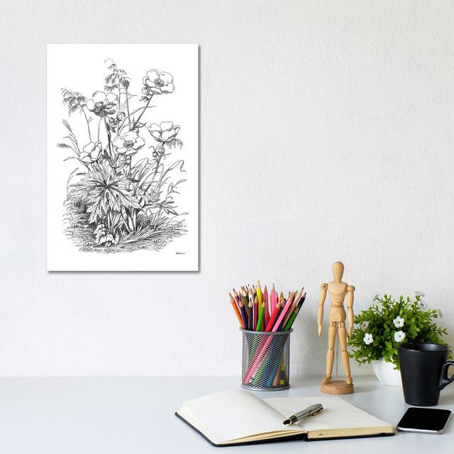 Botanical Black And White IV by Kelly Donovan - Wrapped Canvas Print August Grove Size: 31cm H x 20.5cm W x 1.9cm D on Productcaster.