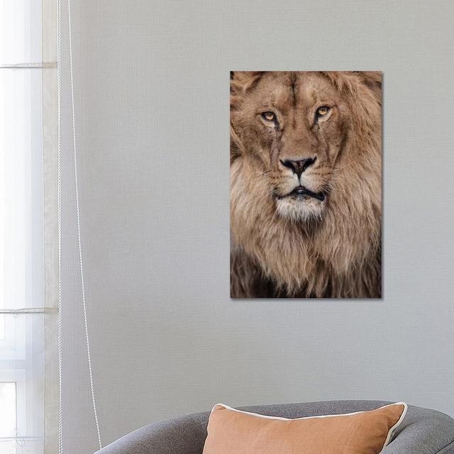 Lion V by Goran Anastasovski - Wrapped Canvas Print Latitude Run Size: 66.04cm H x 45.72cm W x 3.81cm D on Productcaster.