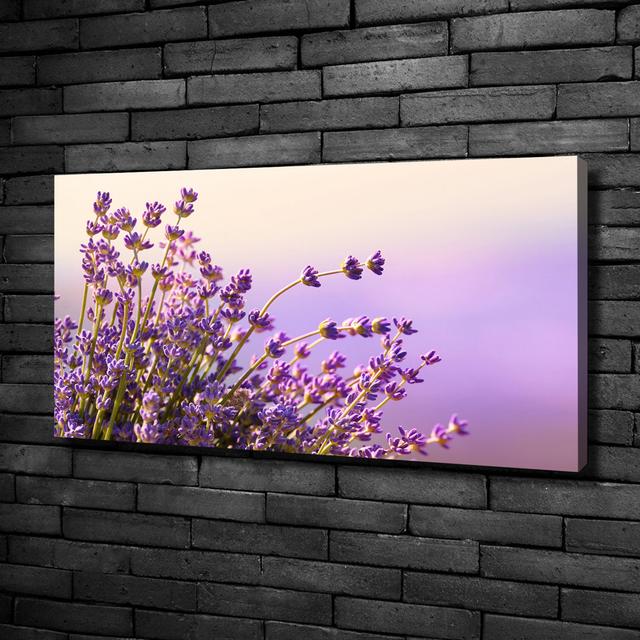 Lavender - Unframed Photograph on Canvas Brayden Studio Size: 50cm H x 100cm W x 2cm D, Format: Canvas on Productcaster.