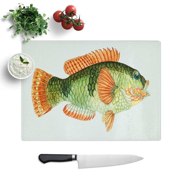 Glass Illustration of A Wrasse Fish by F.E. Clarke Chopping Board East Urban Home Size: 39 cm W x 28.5 cm L on Productcaster.