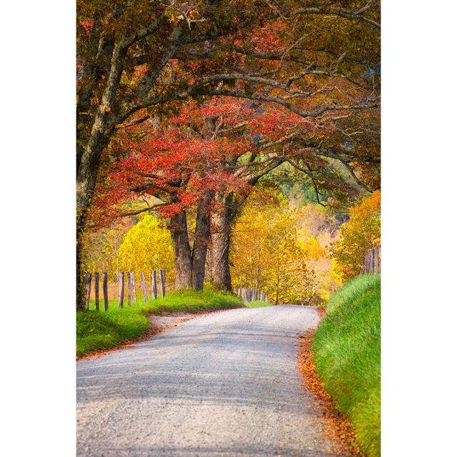 Late Autumn Afternoon In The Smokies Union Rustic Size: 122cm H x 81cm W x 3.8cm D on Productcaster.