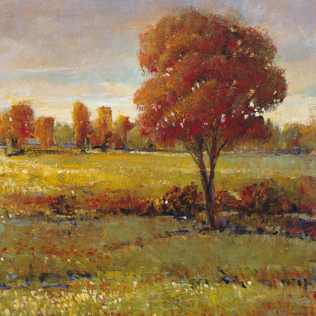 Field in Fall by Timothy O' Toole - Wrapped Canvas Painting Union Rustic Size: 51cm H x 51cm W on Productcaster.