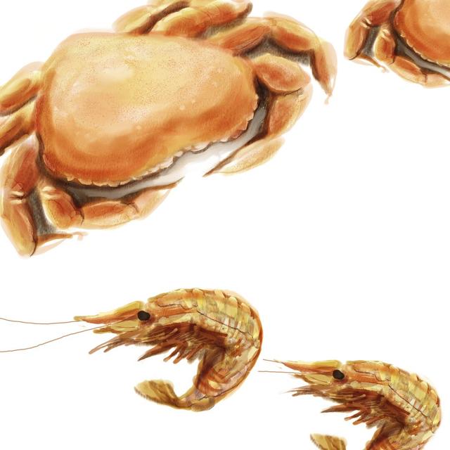 Illustrated Crab by Rick Novak - Wrapped Canvas Painting Highland Dunes Size: 30cm H x 30cm W on Productcaster.