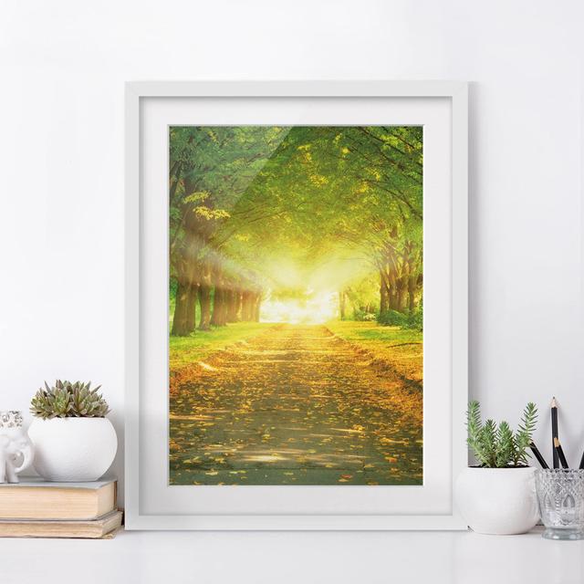 Autumn Avenue - Picture Frame Photograph Print on Paper East Urban Home Frame Options: Matt white, Size: 55 cm H x 40 cm W on Productcaster.