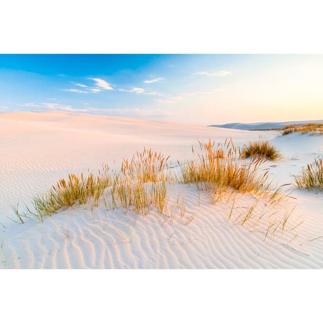 Beautiful View Of The Coastal Dunes Highland Dunes Size: 30cm H x 46cm W x 3.8cm D on Productcaster.