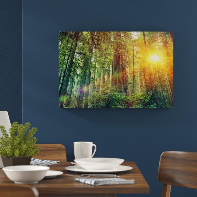 Leinwandbild Wald bei Sonnenlicht East Urban Home Größe: 40 cm H x 60 cm B on Productcaster.