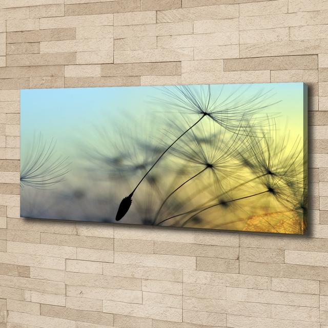 Dandelion Seeds - Print Ebern Designs Format: Canvas, Size: 50cm H x 125cm W x 2cm D on Productcaster.