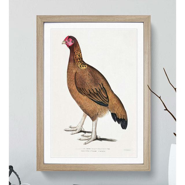 Malabar Hen by John Edward Gray - Picture Frame Art Print East Urban Home Frame Option: Oak, Size: 60cm H x 40cm W x 2cm D on Productcaster.