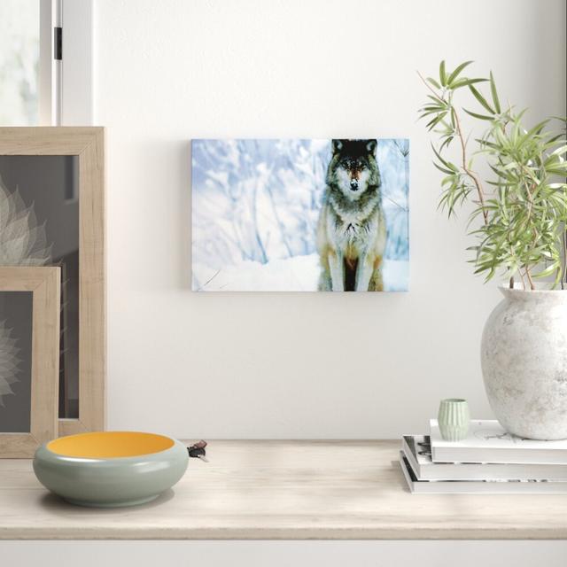 Snow Wolf Wild Life - Wrapped Canvas Photographic Print East Urban Home Size: 81.3 cm H x 121.9 cm W on Productcaster.