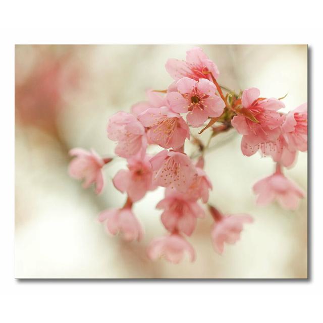 Cherry Blossoms Photographic Print on Canvas East Urban Home Size: 80cm H x 100cm W x 2cm D on Productcaster.