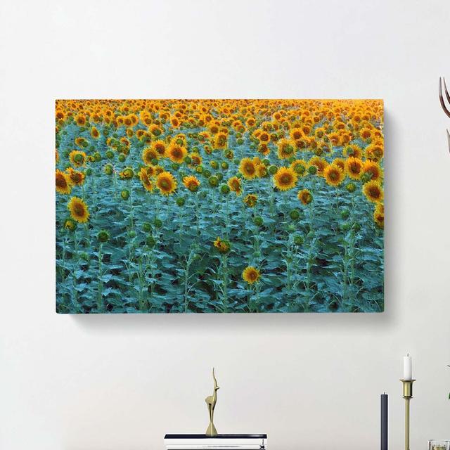 Sunflowers Soon to Bloom - Wrapped Canvas Painting Print East Urban Home Size: 40cm H x 60cm W x 3cm D on Productcaster.