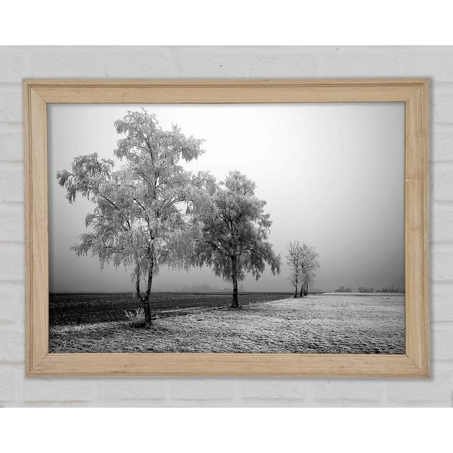 Winter Parade B N W Framed Print Ebern Designs Size: 21cm H x 29.7cm W on Productcaster.