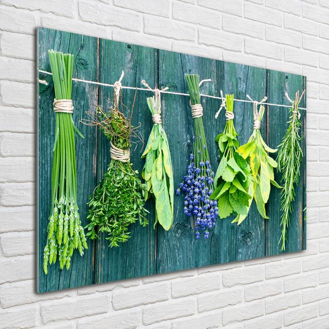 Glasbild Herbs On A String Ebern Designs on Productcaster.