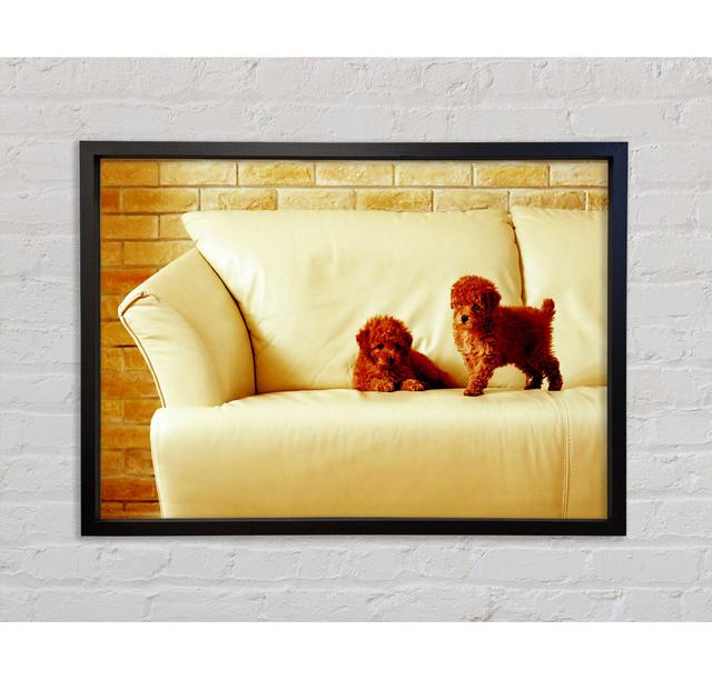 Naughty Puppy Fun - Single Picture Frame Art Prints on Canvas Bright Star Size: 100cm H x 141.4cm W x 3.3cm D on Productcaster.