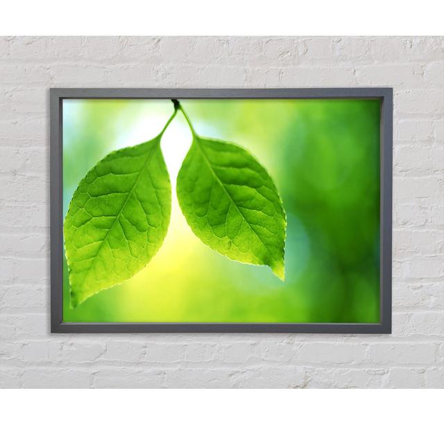 Duo Tree Leaves - Print Bright Star Size: 100cm H x 141.4cm W x 3.3cm D on Productcaster.