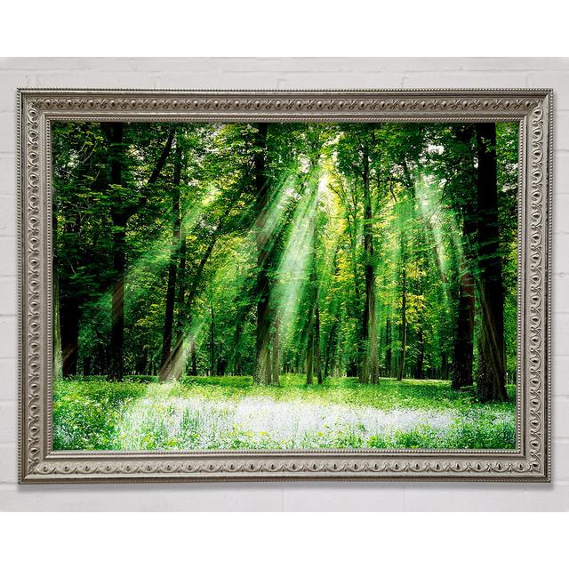 Sunbeams From Heaven - Single Picture Frame Art Prints Bright Star Size: 100cm H x 141.4cm W on Productcaster.