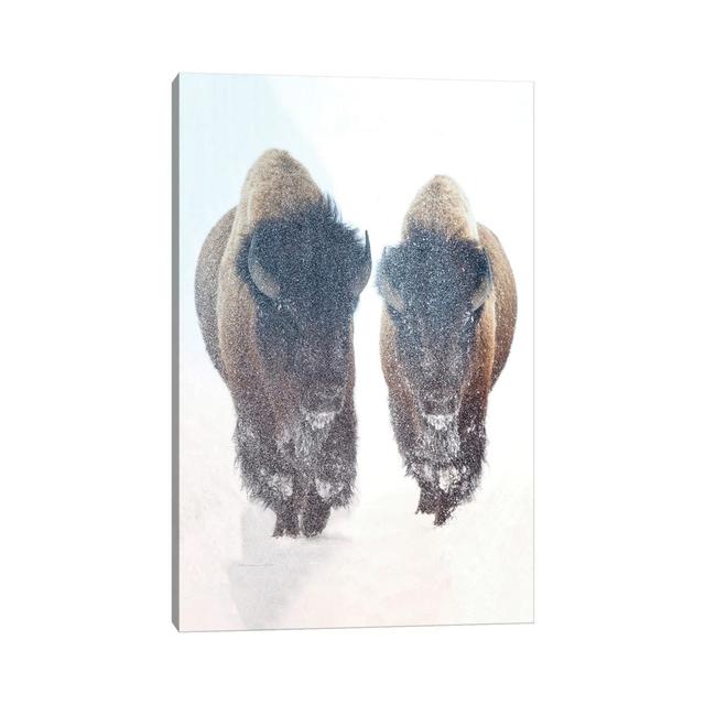 Bison In A Snow Storm by OLena Art - Wrapped Canvas Print Union Rustic Size: 66.04cm H x 45.72cm W x 1.905cm D on Productcaster.