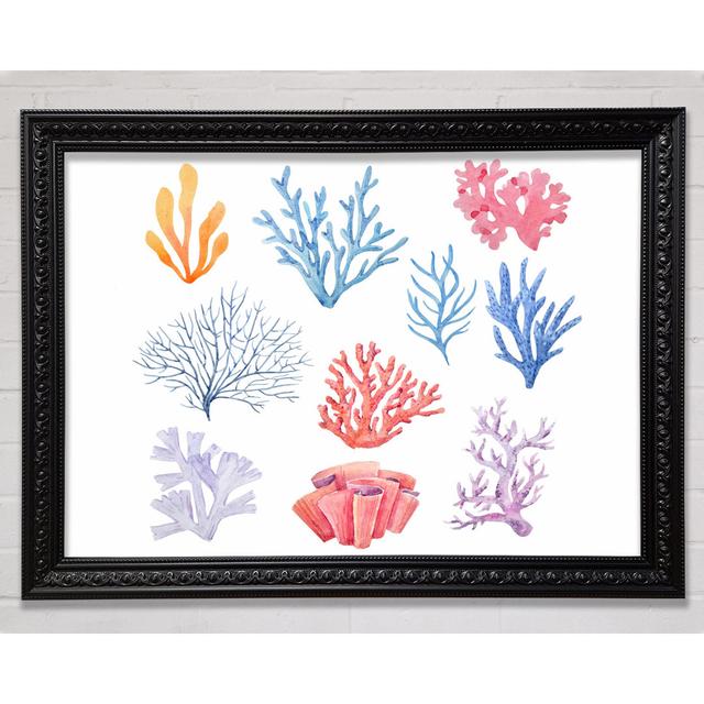 Sea Life Coral Framed Print Bright Star Size: 21cm H x 29.7cm W on Productcaster.