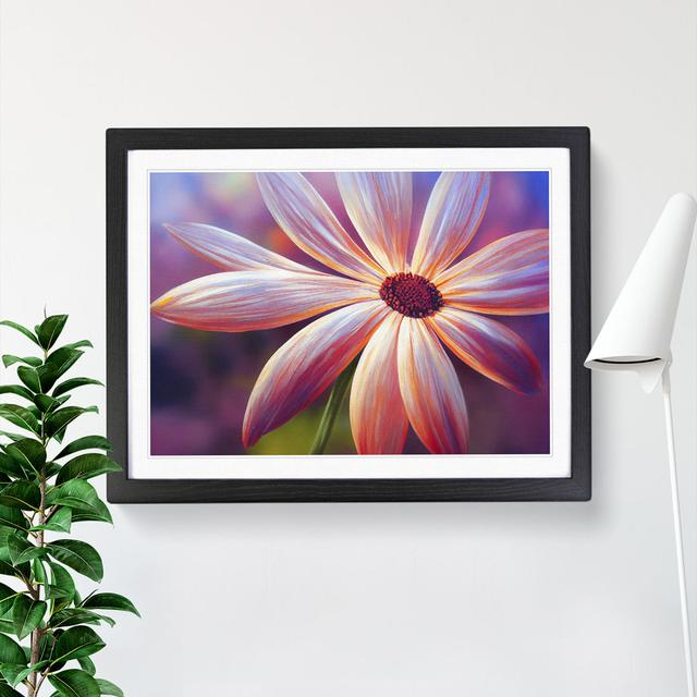 Timeless Daisy Flower - Single Picture Frame Print Marlow Home Co. Frame Colour: Black, Size: 34cm H x 46cm W x 2cm D on Productcaster.