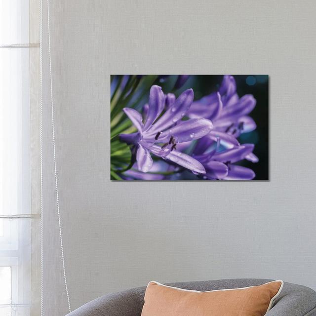 Lilium Flower by Glauco Meneghelli - Wrapped Canvas Photograph Latitude Run Size: 45.72cm H x 66.04cm W x 1.905cm D on Productcaster.