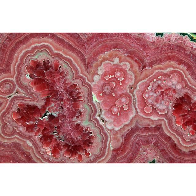 Rhodochrosite Close Up Ivy Bronx Size: 81cm H x 122cm W x 3.8cm D on Productcaster.