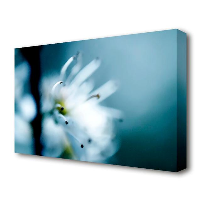 Apple Blossom Flowers Canvas Print Wall Art East Urban Home Size: 35.6 cm H x 50.8 cm W on Productcaster.