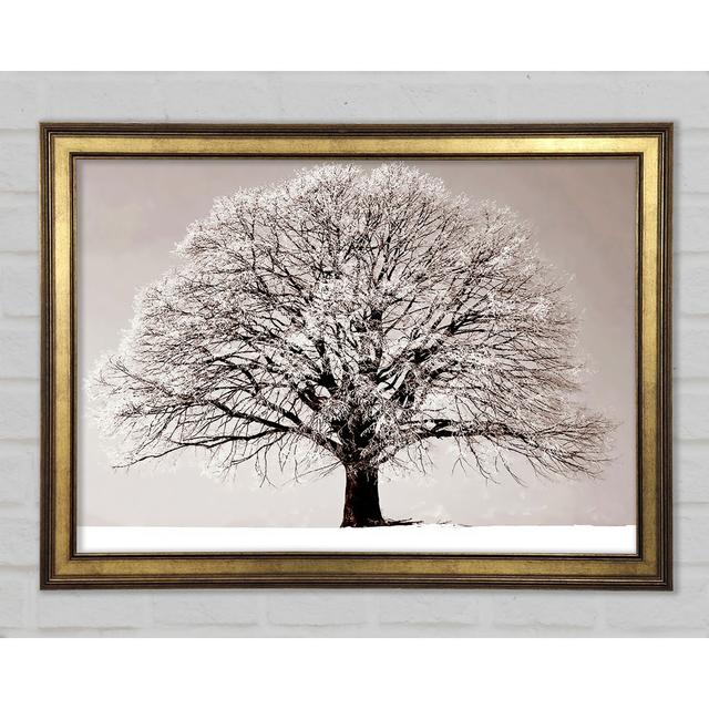 Einsamer Winterbaum - Einzelner Bilderrahmen Kunstdrucke ModernMoments Größe: 29,7 cm H x 42 cm B x 1,5 cm T on Productcaster.