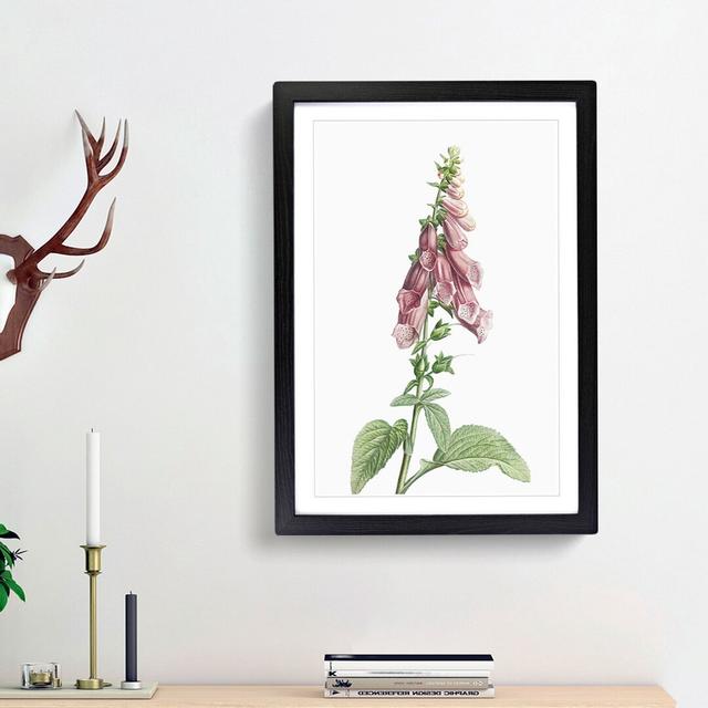 Foxglove Flowers in Pink by Pierre-Joseph Redoute - Picture Frame Painting Print East Urban Home Frame Option: Black Framed, Size: 48cm H x 36cm W x 2 on Productcaster.