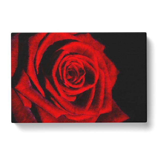 Red Rose Flower Vol.6 - Wrapped Canvas Graphic Art East Urban Home Size: 35cm H x 50cm W x 3cm D on Productcaster.