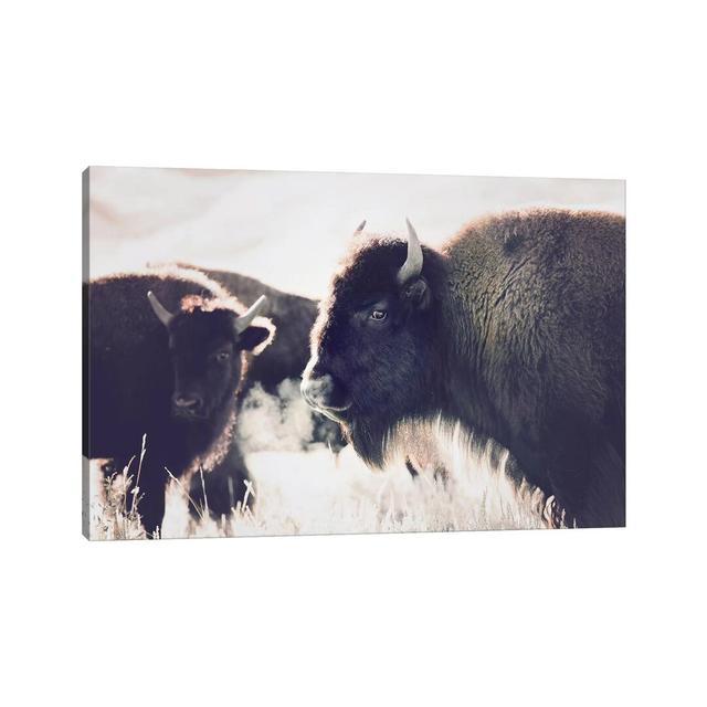 Buffalo by Sisi & Seb - Wrapped Canvas Print August Grove Size: 20.32cm H x 30.48cm W x 1.91cm D on Productcaster.