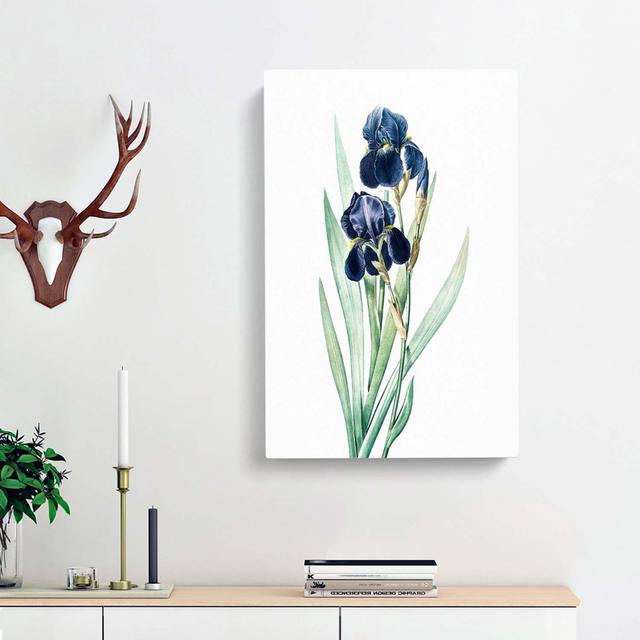 German Iris Flowers by Pierre-Joseph Redoute - Wrapped Canvas Painting Print East Urban Home Size: 50cm H x 35cm W x 3cm D on Productcaster.