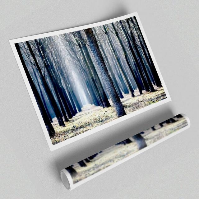 Trees Line-Up in Winter Forest - Photograph Print on Paper" East Urban Home Size: 42cm H x 59.4cm W on Productcaster.