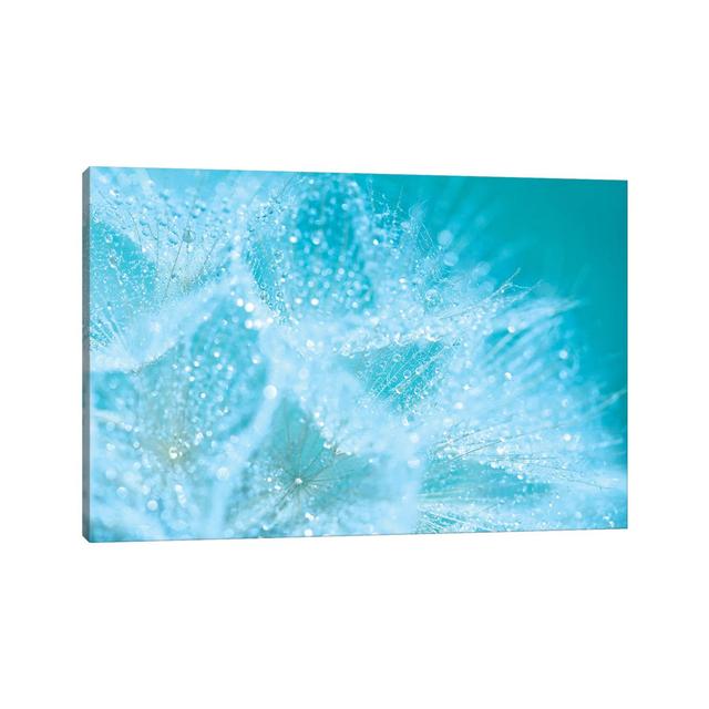 Aqua Sparkles RBM3 House of Hampton Size: 101.6cm H x 152.4cm W x 3.81cm D on Productcaster.