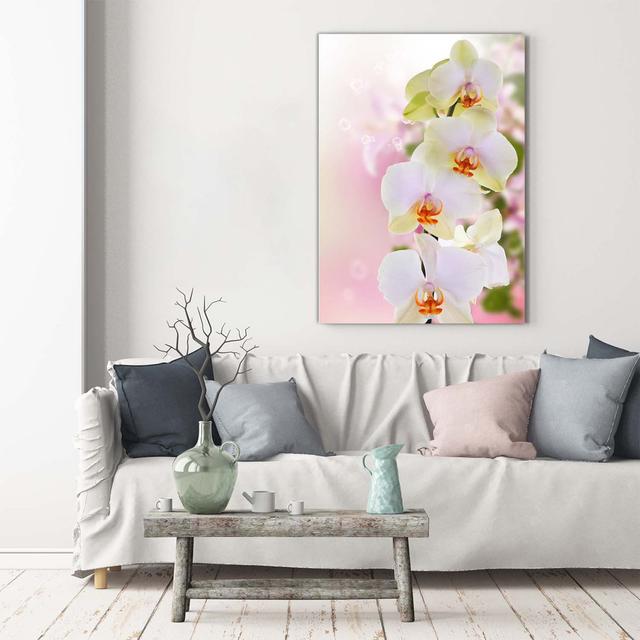 Weiße Orchidee - Kunstdrucke auf Segeltuch Brayden Studio on Productcaster.