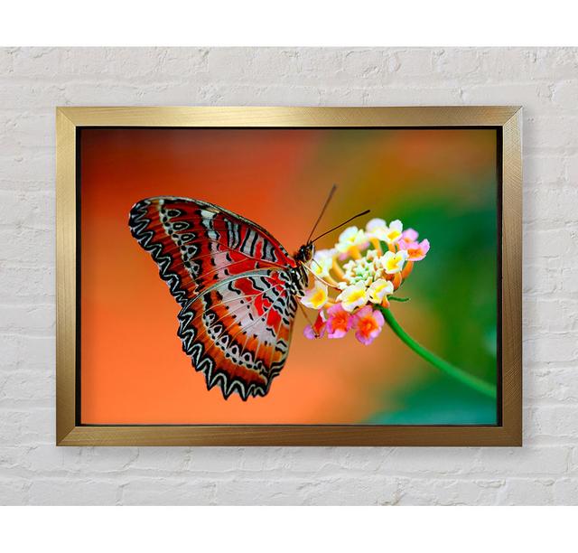 Colourful Butterfly Rests - Single Picture Frame Art Prints Bright Star Size: 42cm H x 59.7cm W on Productcaster.