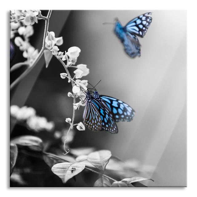 Glasbild Butterflies on Flowers Sommerallee Größe: 80 cm H x 80 cm B x 0.4 cm T on Productcaster.