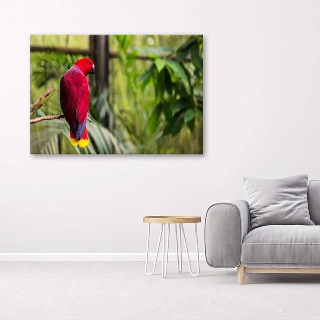 Leinwandbild Parrot Paradise Birds Nature Sansibar Home Größe: 70 cm H x 100 cm B on Productcaster.