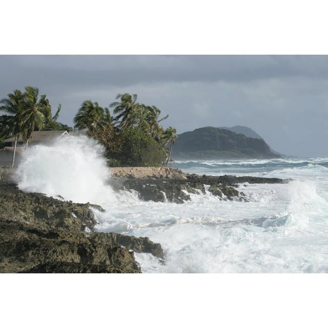 Hawaii Coastline von Sjharmon - Leinwand Kunstdrucke Alpen Home Größe: 20 cm H x 30 cm B on Productcaster.